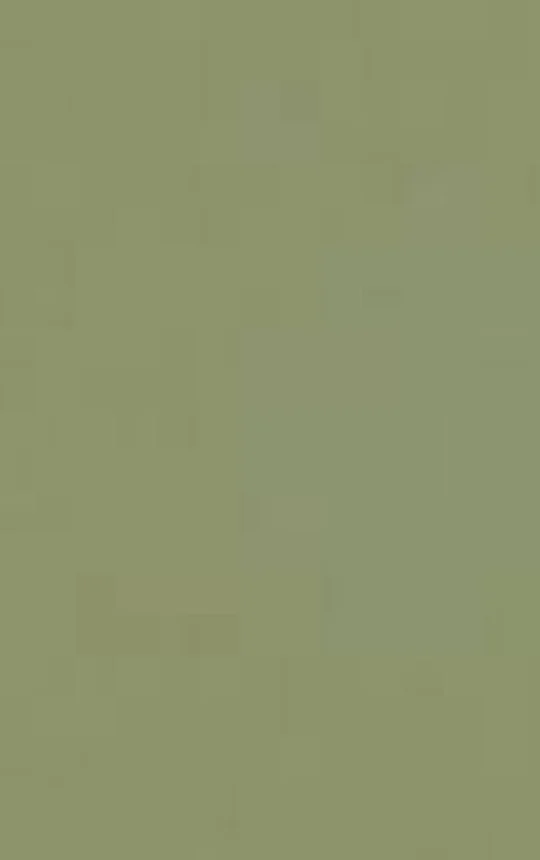 Copper cladding — aged verdigris patina