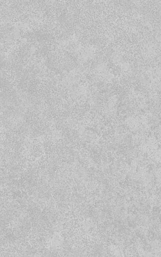 Metal Stone
