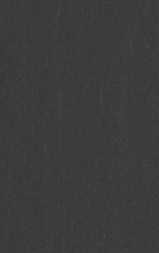 Zinc cladding — aged dark patina